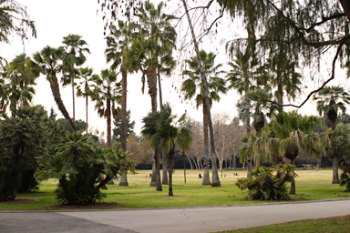 Pasadena, 2007-12-28