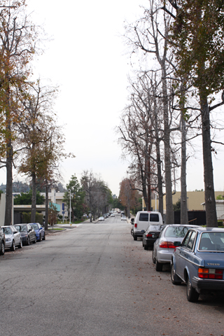 South Pasadena, 2009-02-21