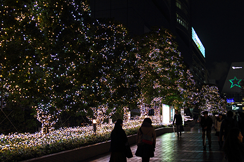 Shinjuku, 2012-11-26