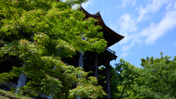 Kyoto 2024-05-17