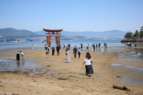 Miyajima 2024-05-20