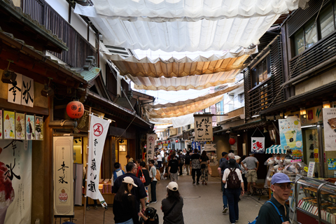 Miyajima 2024-05-20