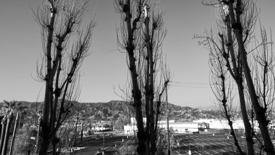 Glendale 2025-04-08