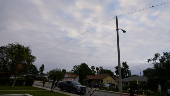 Monrovia 2025-04-18
