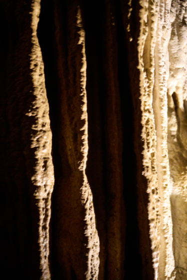 Sequoia 2025-06-03
