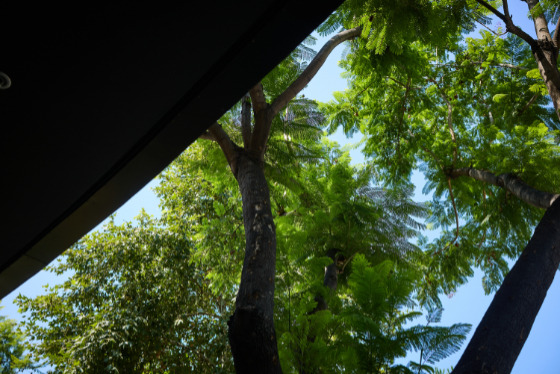 Monrovia 2025-07-19