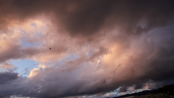 Glendale 2025-10-14